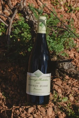 Domaine Saumaize-Michelin - Burgundy - La Versione di Gunter
