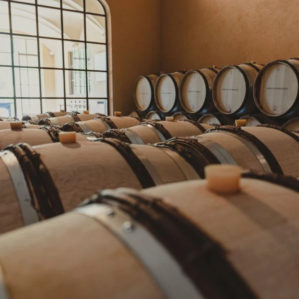 Abbaye de Pierredon - Provence - Barrels