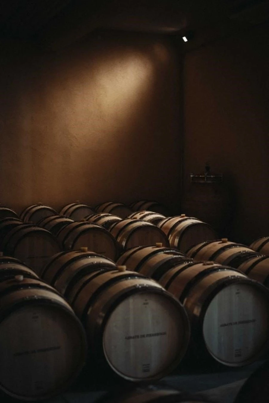 Abbaye de Pierredon - Provence - Initium - Barrels