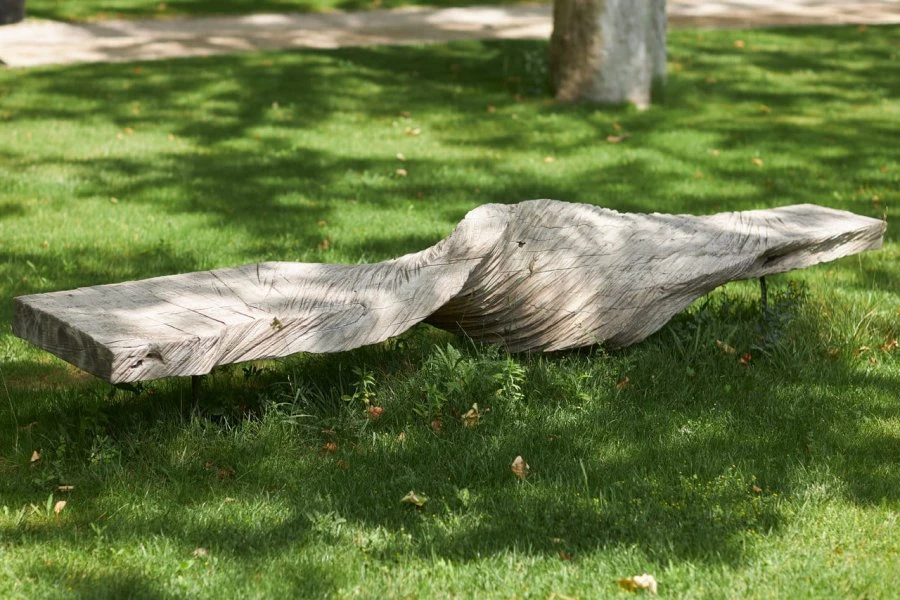 Abbaye de Pierredon - Provenza - Parco