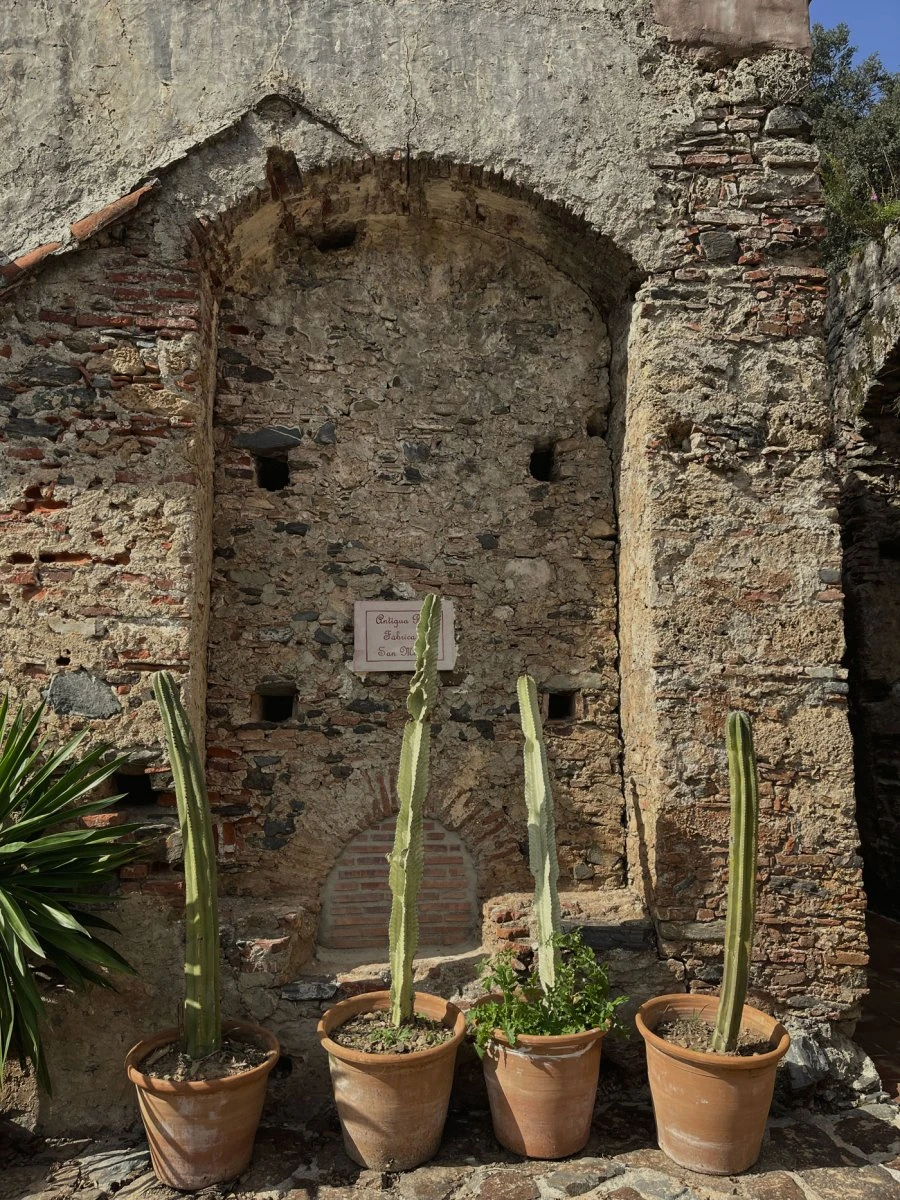 Antigua Real Fábrica - Andalusia - Cantina