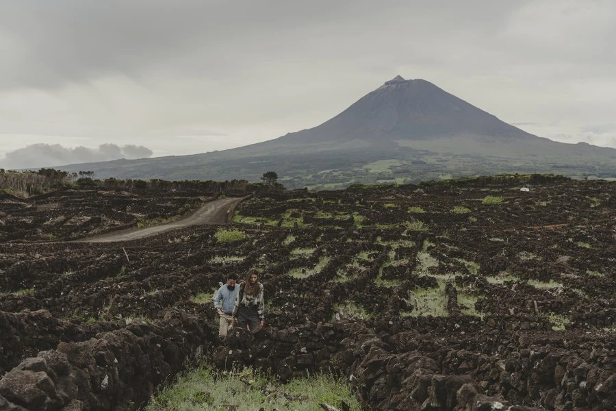 Arinto dos Açores Sur Lies - 3 vintages - Azores Wine Company