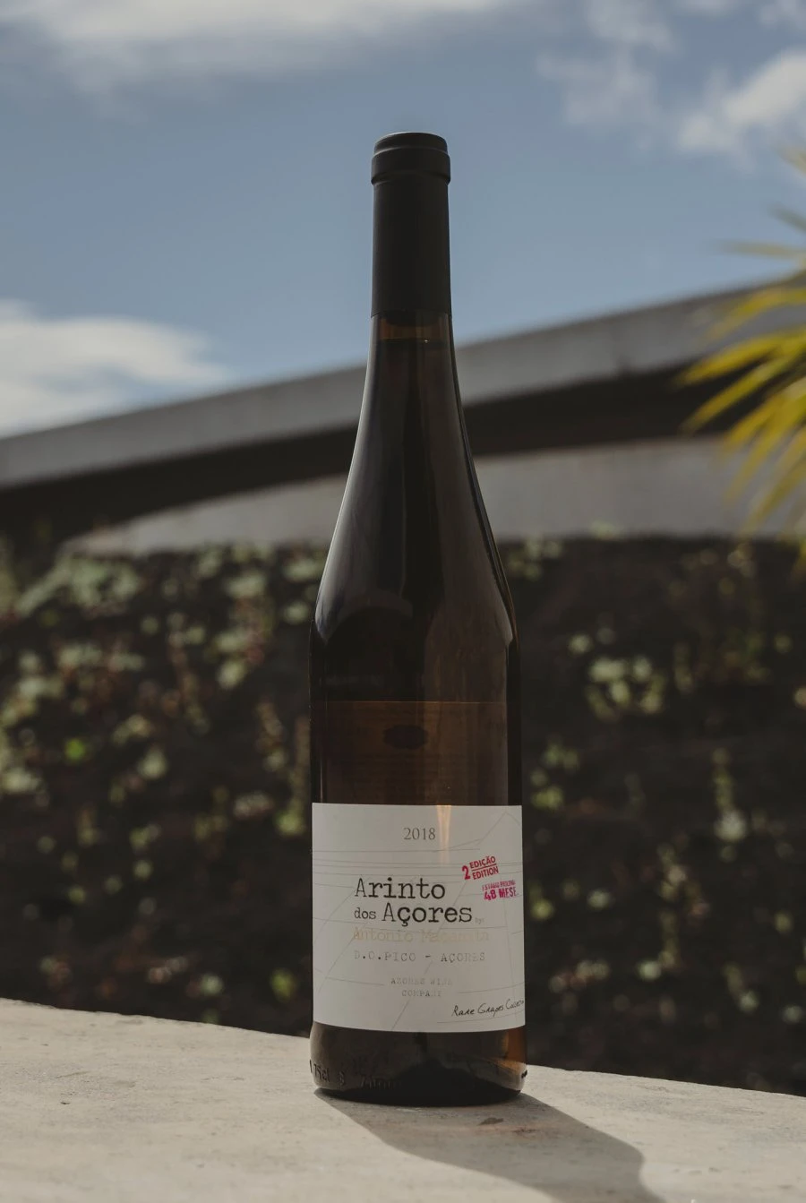 Arinto dos Açores D.O. Pico 2018 - Azores Wine Company