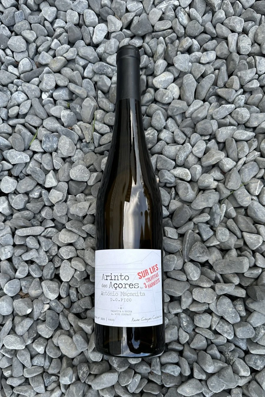 Arinto dos Açores Sur Lies - 3 vintages - Azores Wine Company