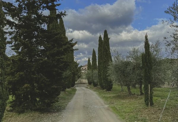 Azienda Agricola La Lama - Toscana - Entrata tenuta