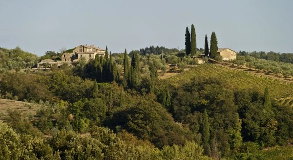 Azienda Agricola La Lama - Toscana - Tenuta