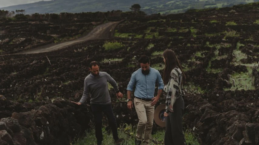 Azores Wine Company_Vigne_Visita