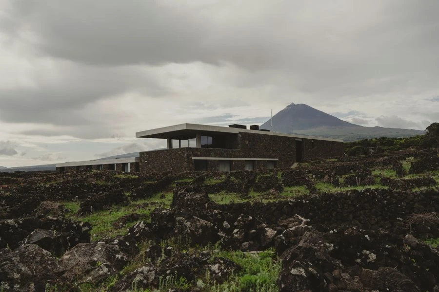 Azores Wine Company_Vigneti