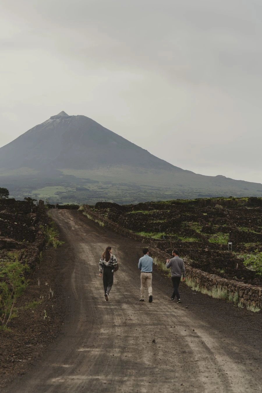 Azores Wine Company_Vigneti