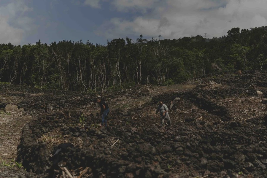 Azores - Adega Lucas Lopes Amaral - Cadmarvor Fernão Pires - Workers