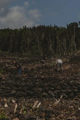 Azores - Adega Lucas Lopes Amaral - Workers