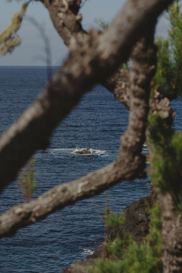 Azores - Adega Lucas Lopes Amaral - Ocean