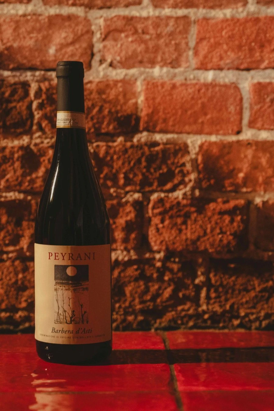 Stefano Peyrani - Piemonte - Barbera d'Asti Bric Piovà