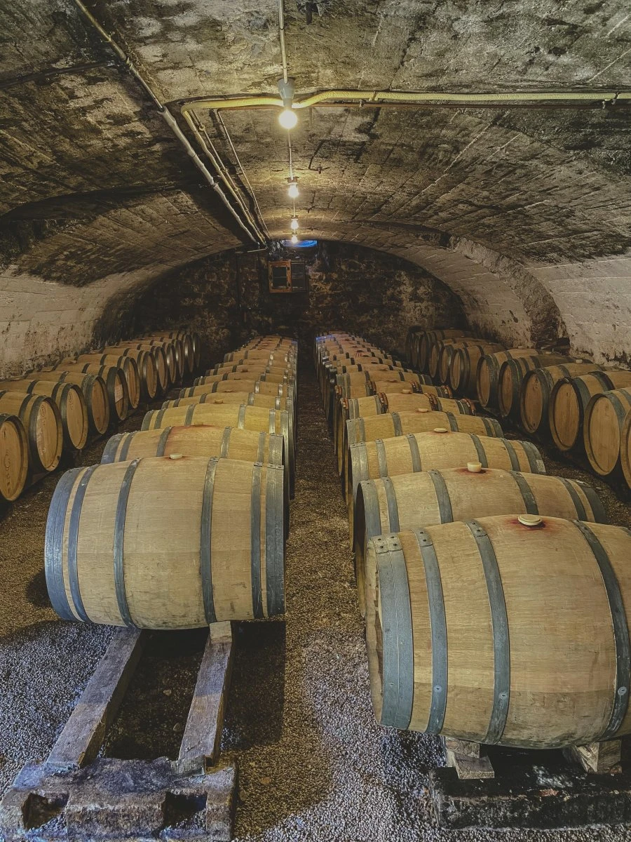 Beaujolais - Alio Pacto - Barrels - Red