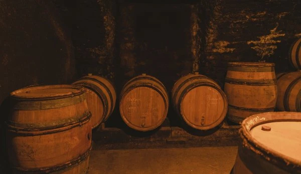 Bourgogne - JanotsBos - Winery - Barrels