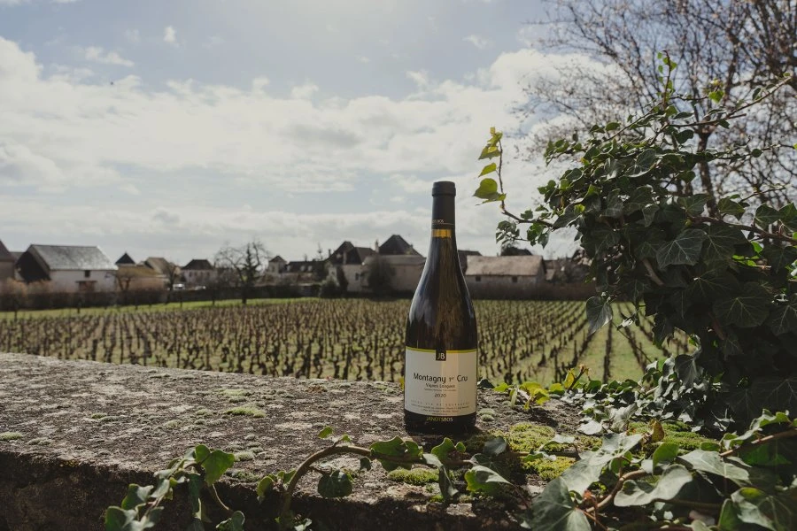 Bourgogne - JanotsBos - Montagny 1er Cru Vignes Longues