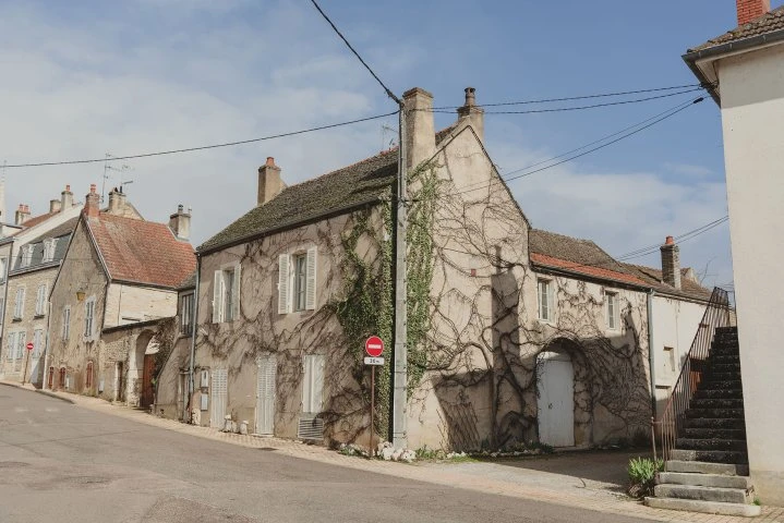 Bourgogne - JanotsBos -Meursault