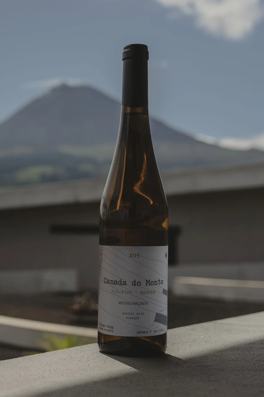 Canada do Monte D.O. Pico - Azores Wine Company