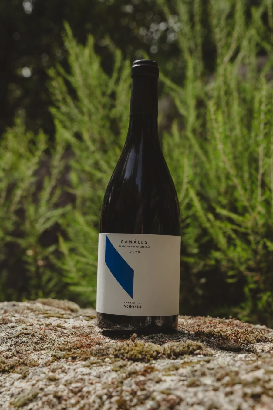 Cantine Neoneli - Sardegna - Canalés