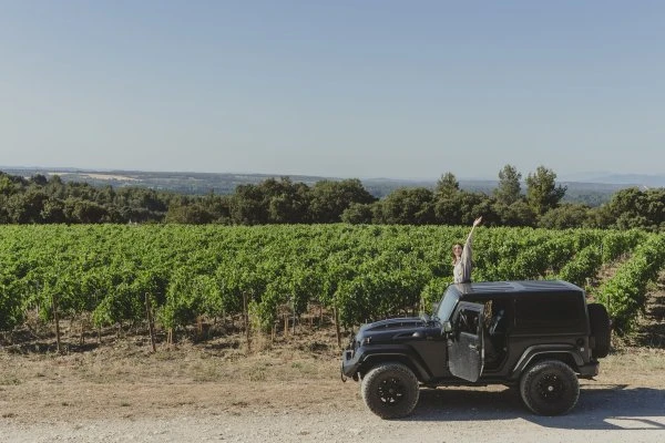 Chateau Romanin - Provenza - Vigne