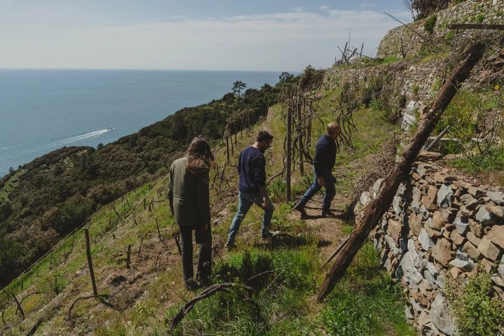 Cián du Giorgi - Liguria - Vineyard - Simona - Gunter - Riccardo Giorgi 