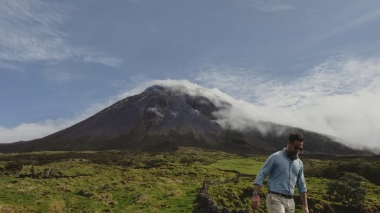 Azores Wine Company 