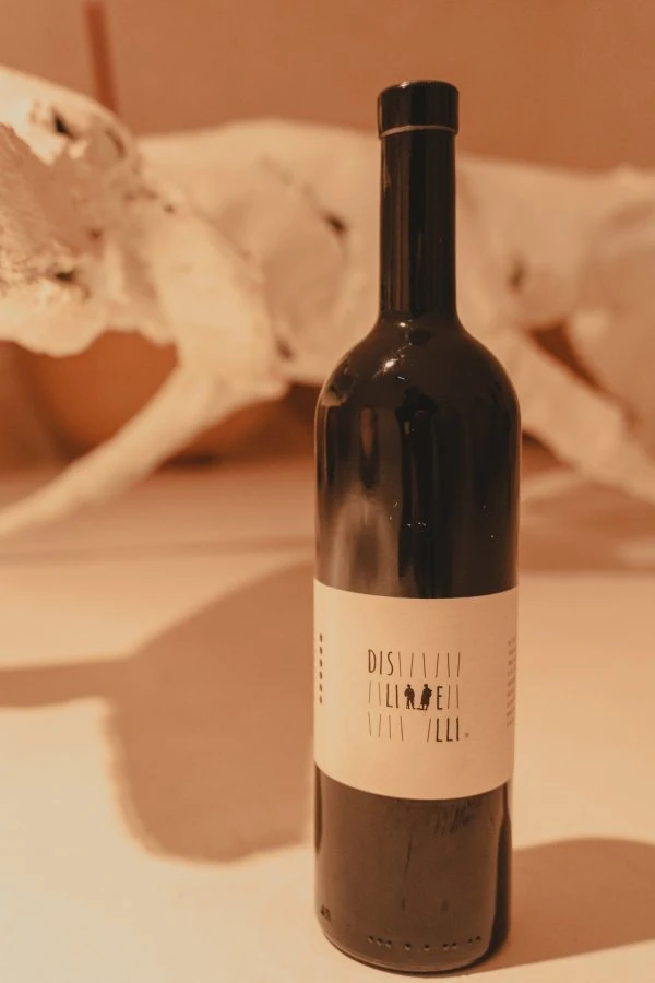 Dislivelli - Sassella