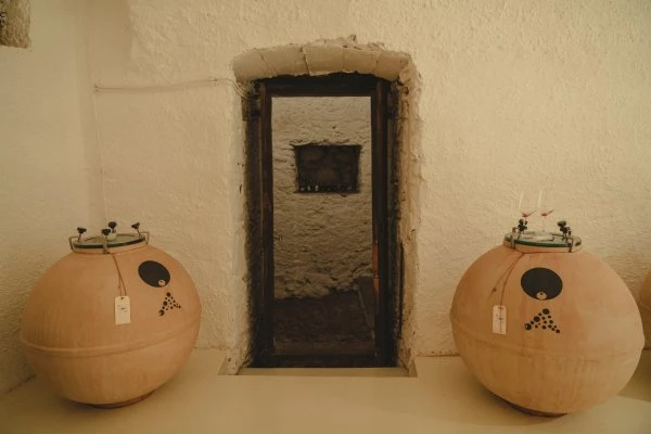 Dislivelli - Valtellina - Wine cellar - Barrels