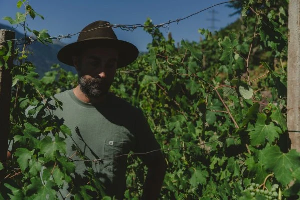 Dislivelli - Valtellina - Gunter - Vigne