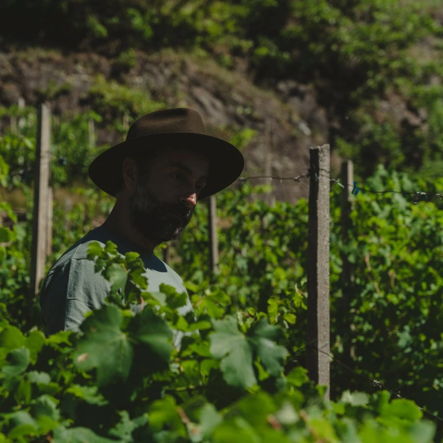 Dislivelli - Valtellina - Vineyard - Gunter