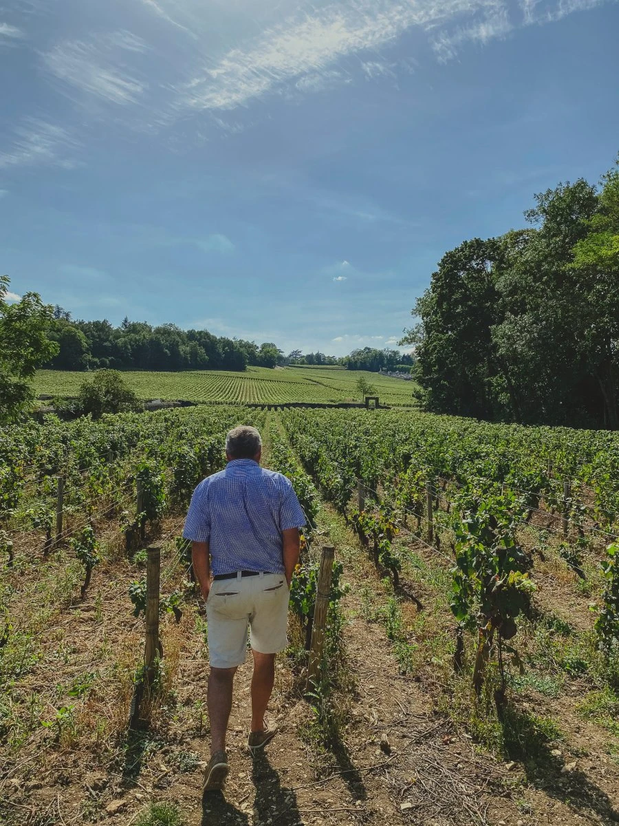 Domaine de Suremain - Yves e vigne