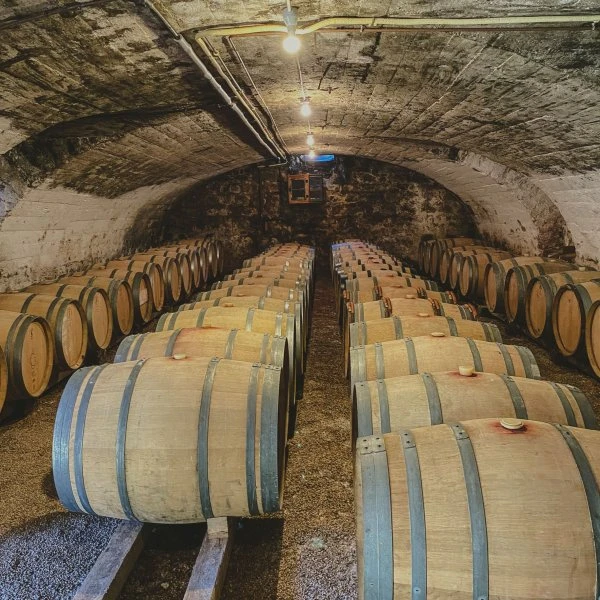 Domaine Les Capréoles - Barrels