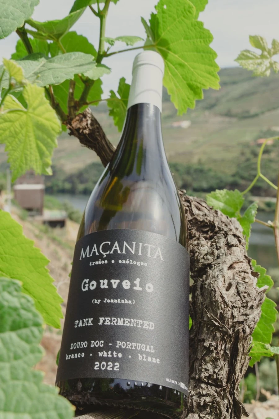 Douro - Maçanita - Gouveio by Joaninha