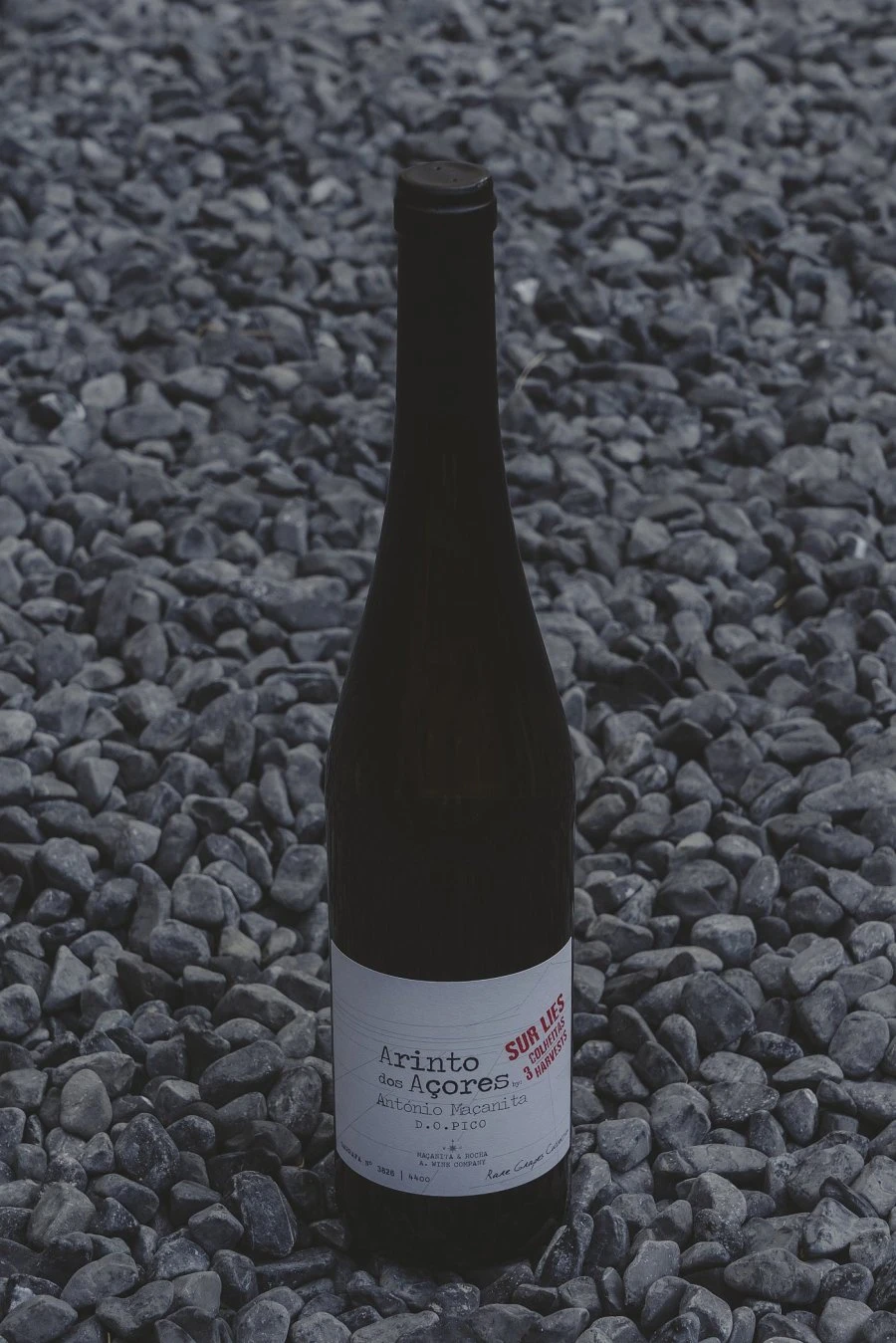 Arinto dos Açores Sur Lies D.O. Pico 2020 - Azores Wine Company