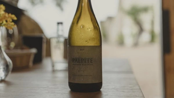 Fitapreta - Portugal - Palpite white 'reserva' 2022 - Wine - White