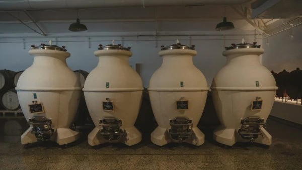 Herdade Aldeia de Cima - Alentejo -  Amphorae