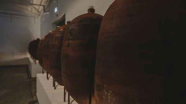 Herdade Aldeia de Cima - Alentejo -  Amphorae