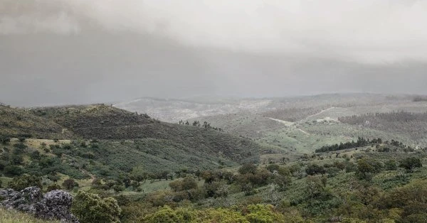 Herdade Aldeia de Cima - Alentejo - Vigne