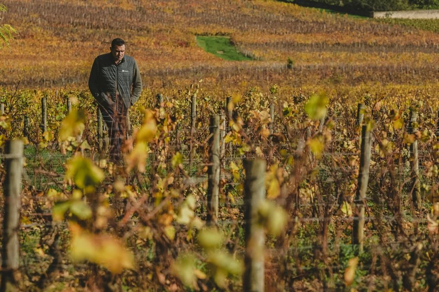 Mercurey 1er Cru Clos L’Evêque - Borgogna Rosso - Domaine de Suremain - Loïc