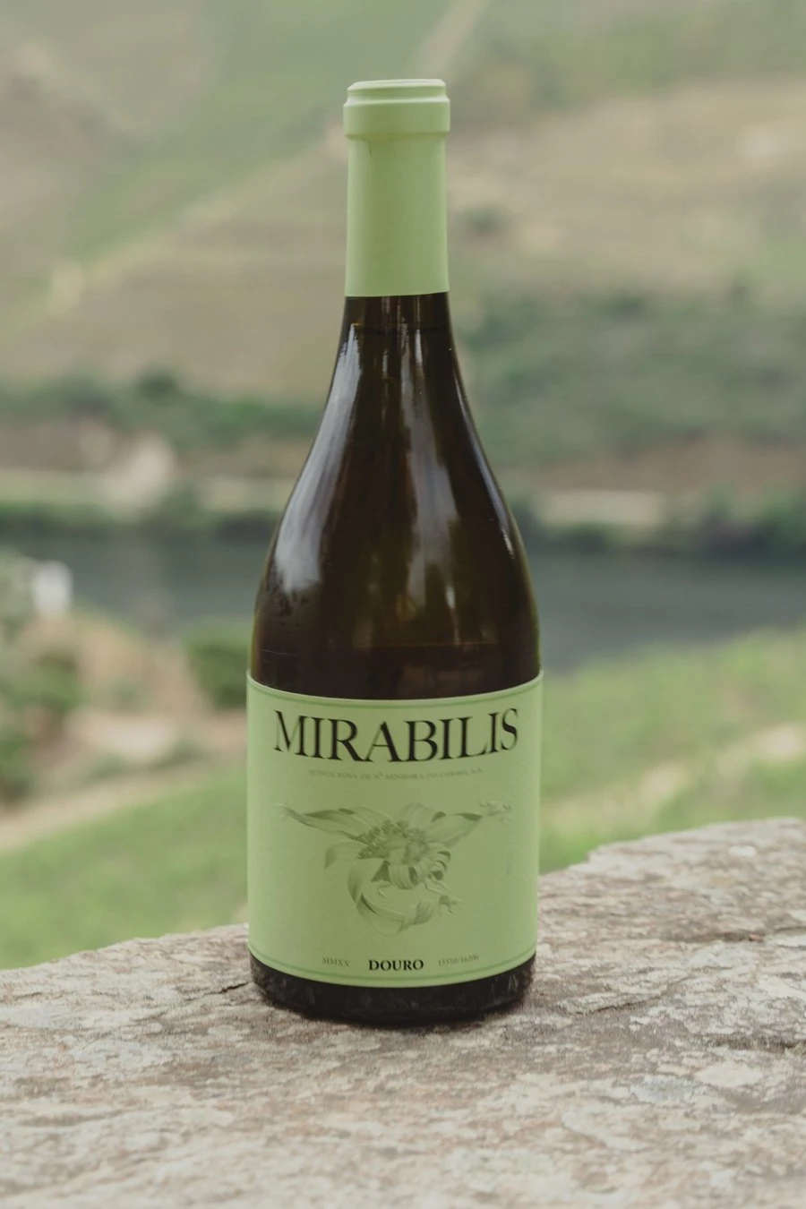 Portogallo - Douro - Quinta Nova - Mirabilis Branco