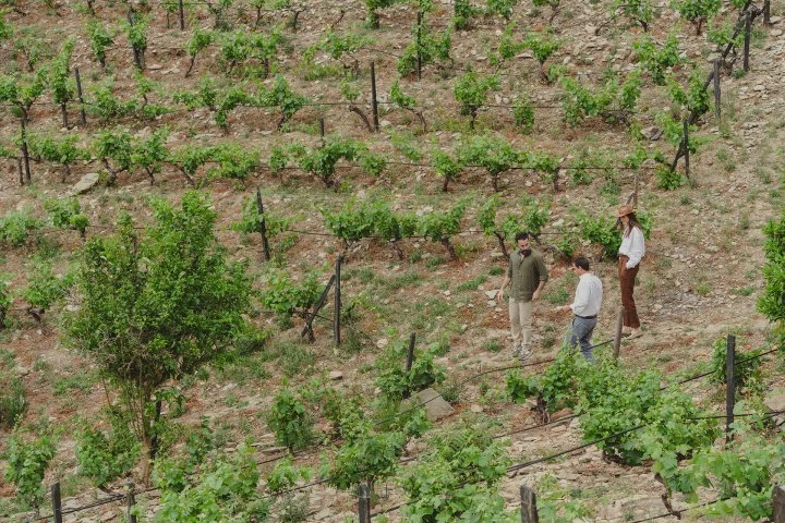 Quinta Nova - Portogallo - Douro -  Gunter - Simona  