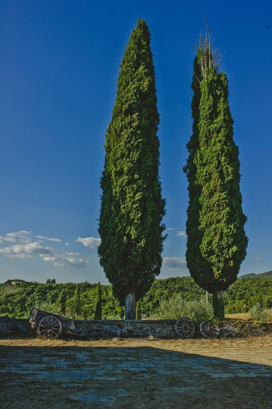 Sottol’aia - Chianti Classico D.O.C.G. - Azienda Agricola La Lama - Tenuta