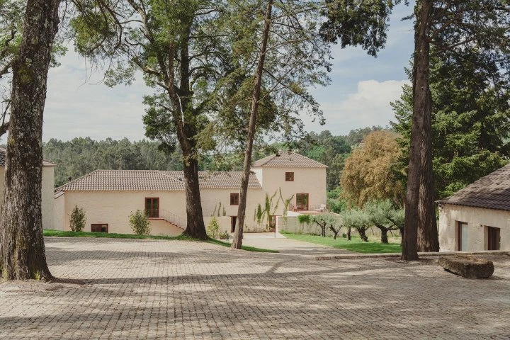 Taboadella - Dão -  Vineyard