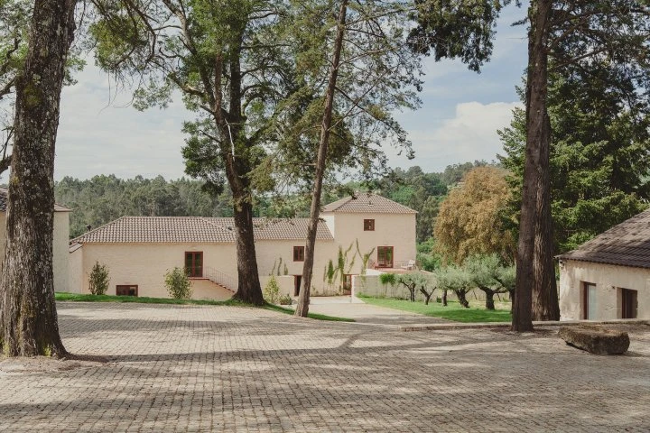 Taboadella - Dão -  Vigne