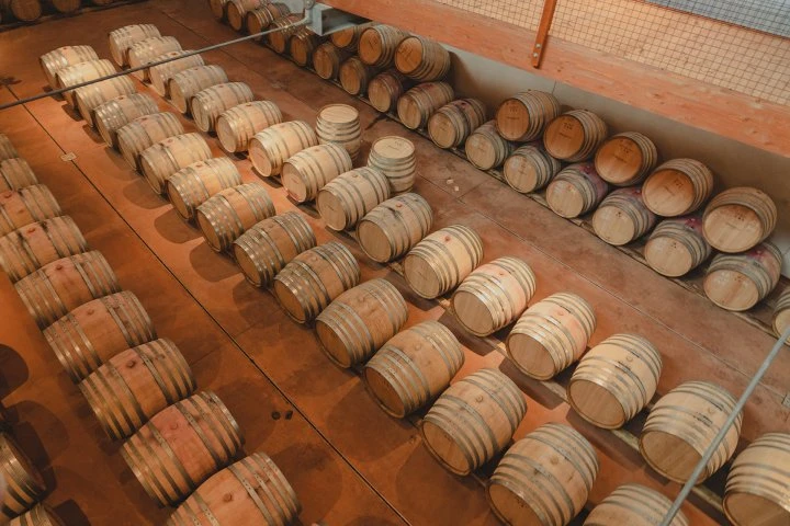 Taboadella - Dão - Barrels - Winery