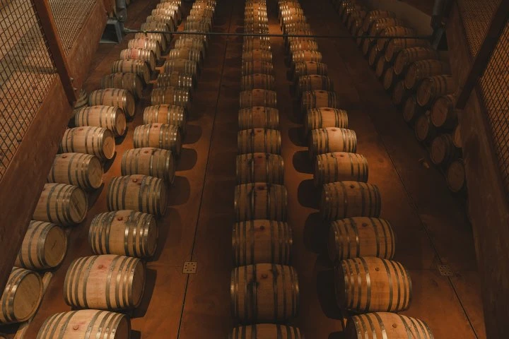 Taboadella - Dão - Visit - Winery - barrels