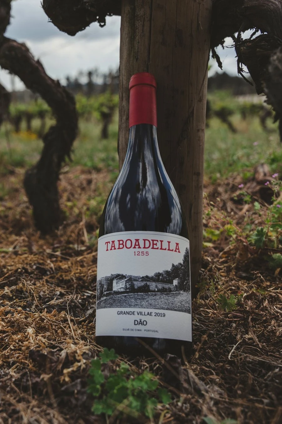 Taboadella - Dao - Grande Villae Tinto