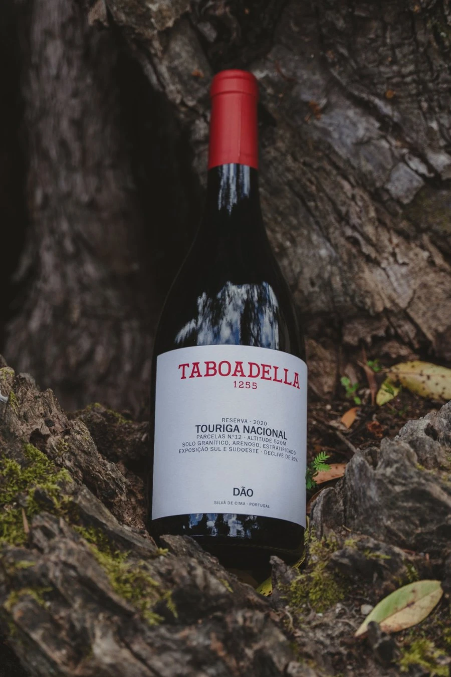 Taboadella - Dao - Touriga Nacional Reserva