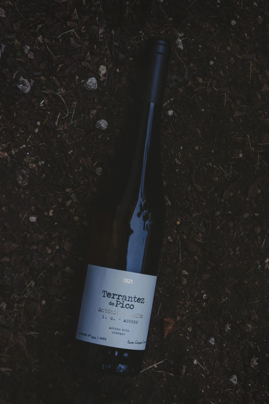 Terrantez do Pico - Azores Wine Company