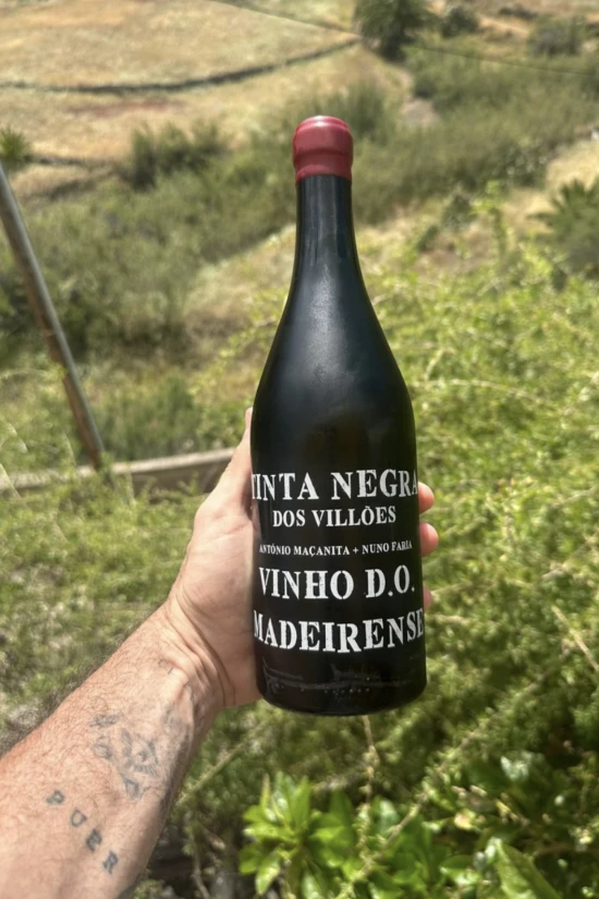 Tinta Negra dos Villões